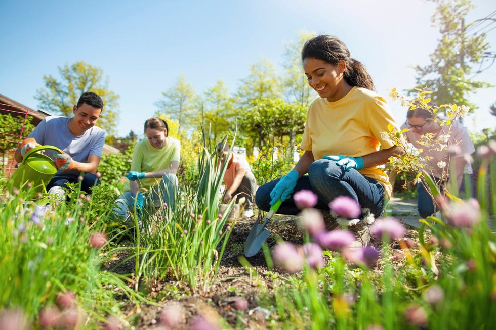 group of people gardening