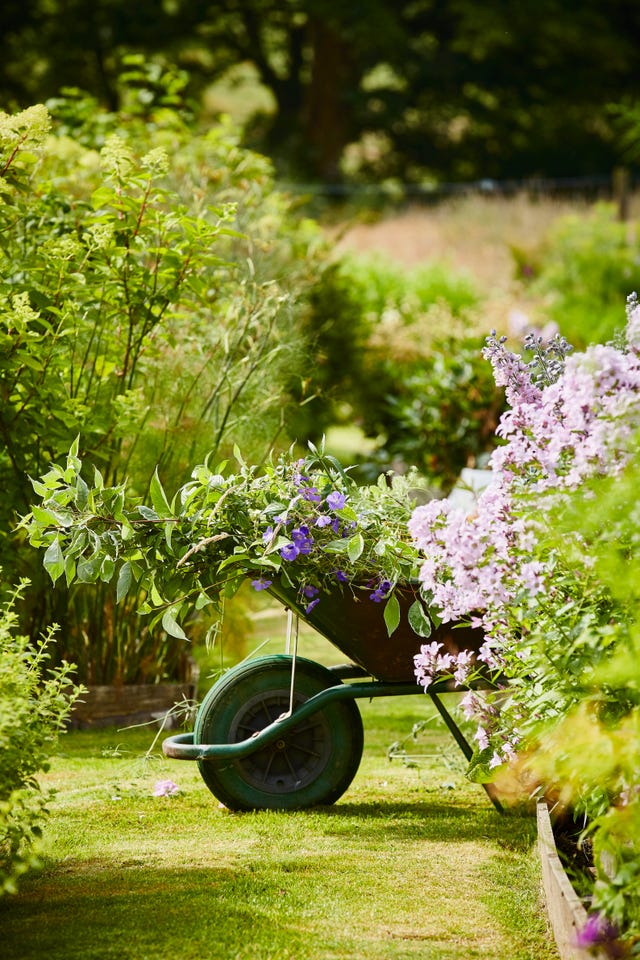 a wheelbarrow with cut flowers and greenery