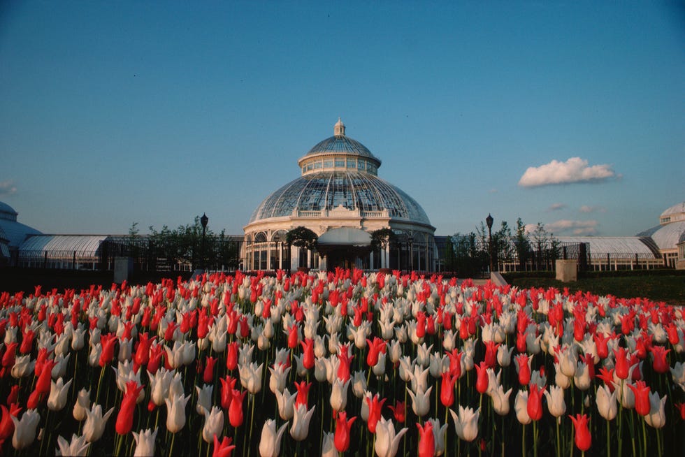 Bronx Botanical Garden