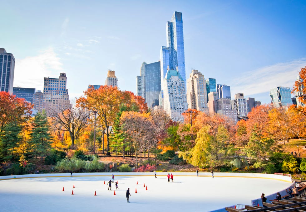 ice rink