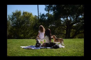 child and woman sitting on grass with dogs enjoying a sunny day