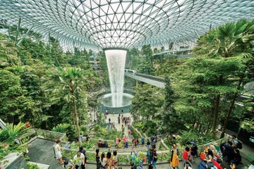 waterfall inside changi airport in singapore