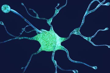 neuron system