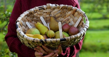 woman holding basket of pears