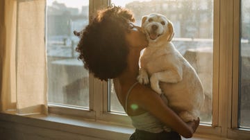 a person holding a dog, best air purifiers for pets