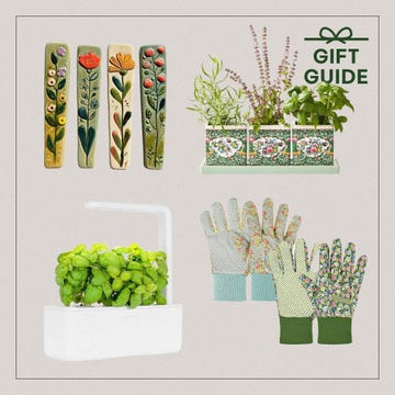 gardenthemed gift guide featuring plant markers a planter with herbs and gardening gloves