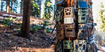 trail cams in the woods