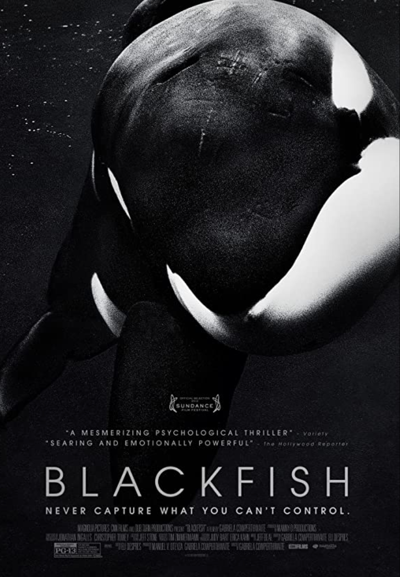 blackfish 2013