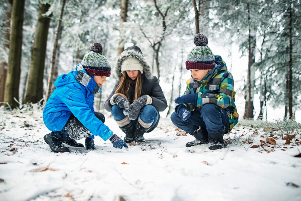 best fun snow activities for winter