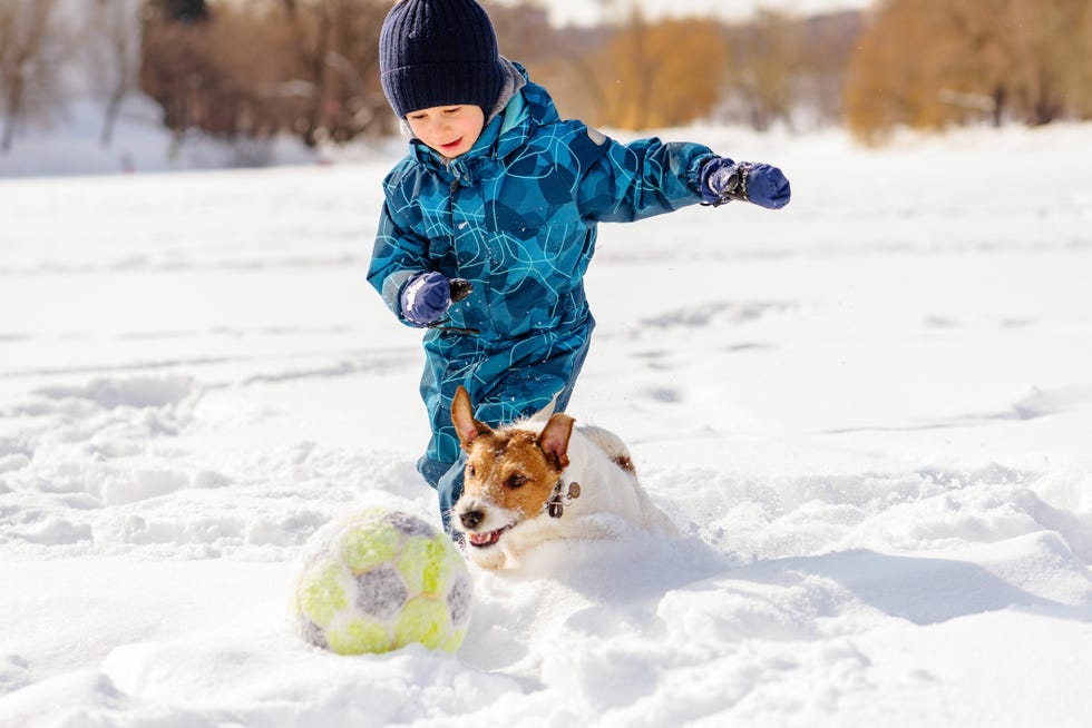 best fun snow activities this winter