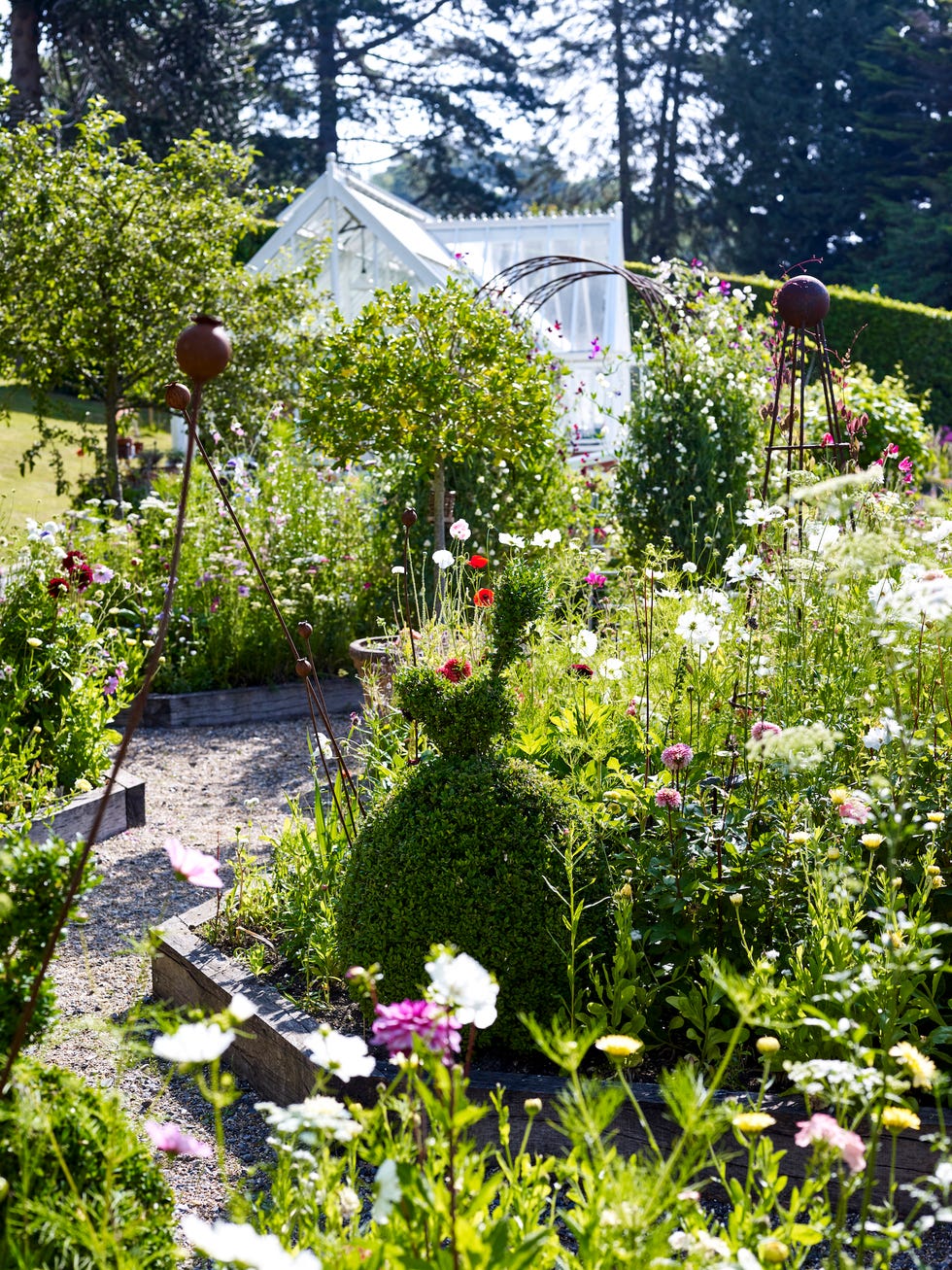 flowers growing in the garden, greenhouse in the background where the flowers are raised from seeds