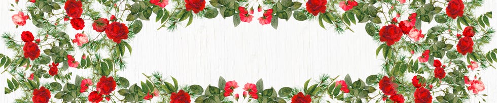 floral border featuring red and pink flowers with green leaves on a white background