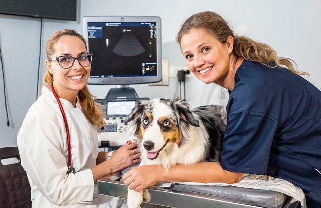 gifts for veterinary staff