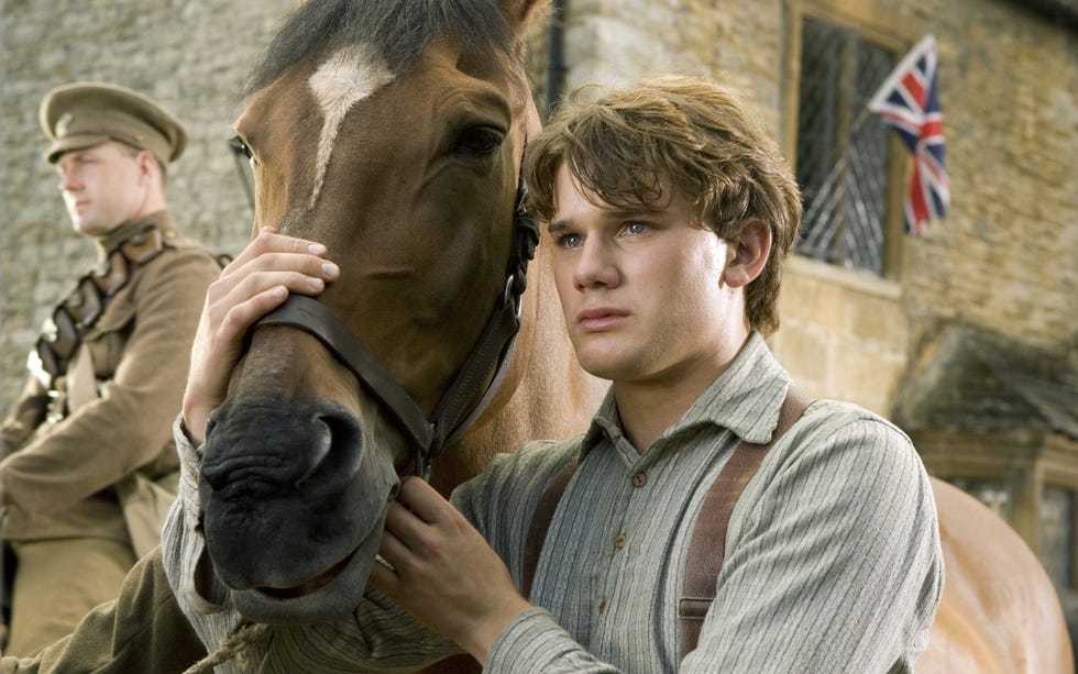 war horse