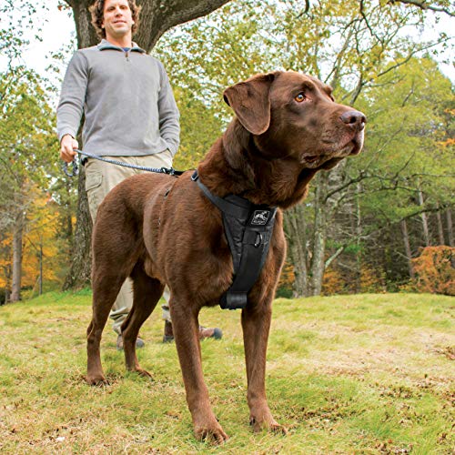 Dog Walking Harness 