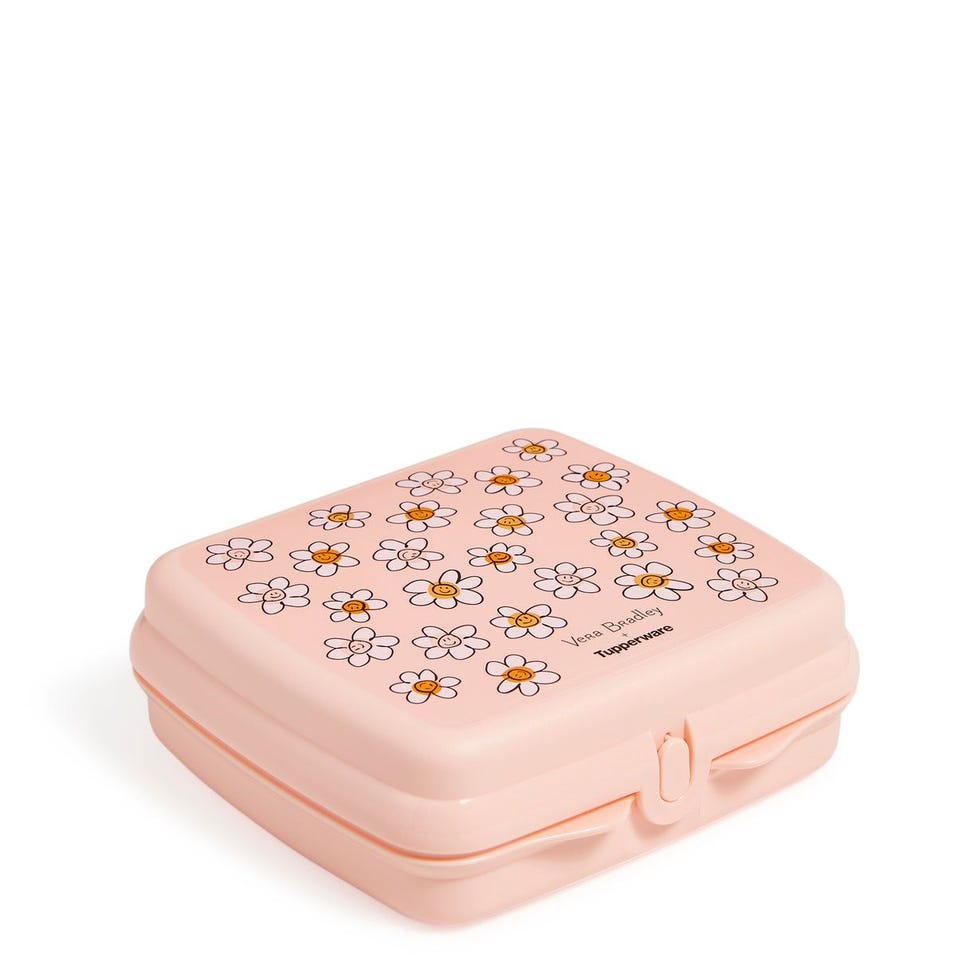 Tupperware Sandwich Keeper