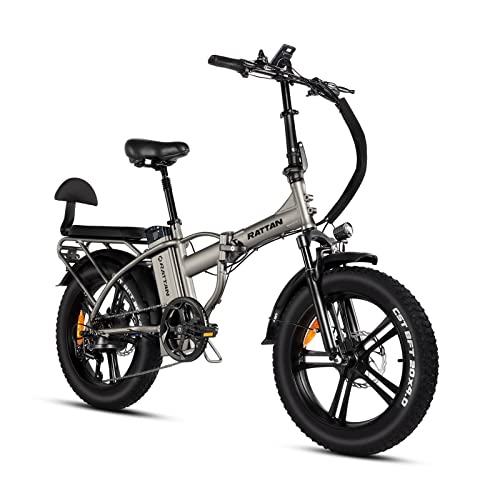 750W Foldable Electric Bike