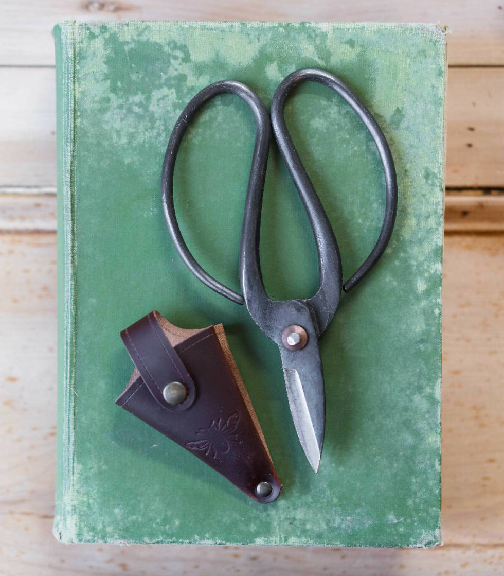 Large Garden Scissors in Leather Holder