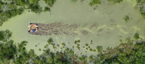 A birds-eye view of the survey float in the green, mucky swamp. The green water swirls behind the kayaks as they're pushed through the water