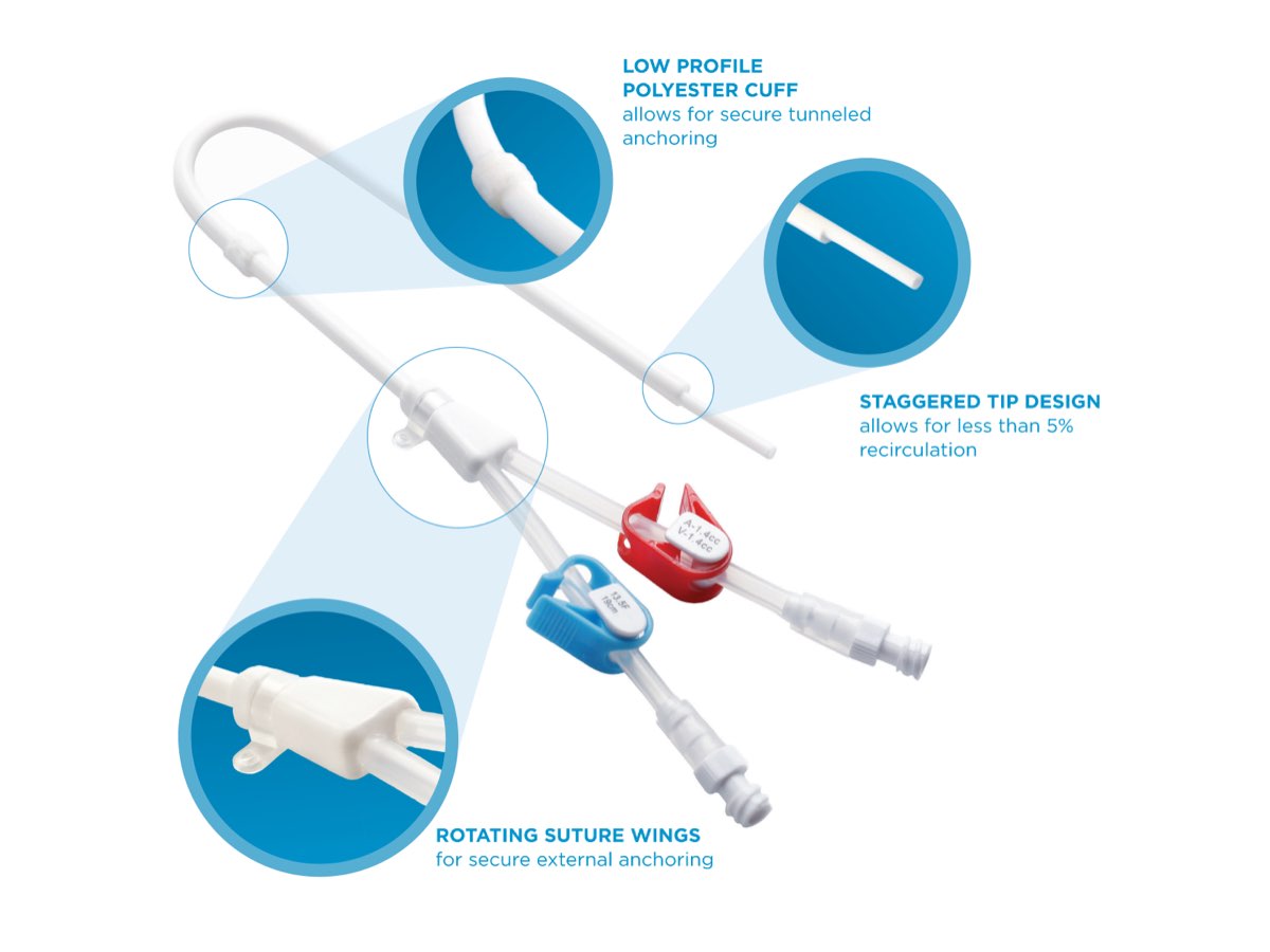 Temporary Hemodialysis Catheter