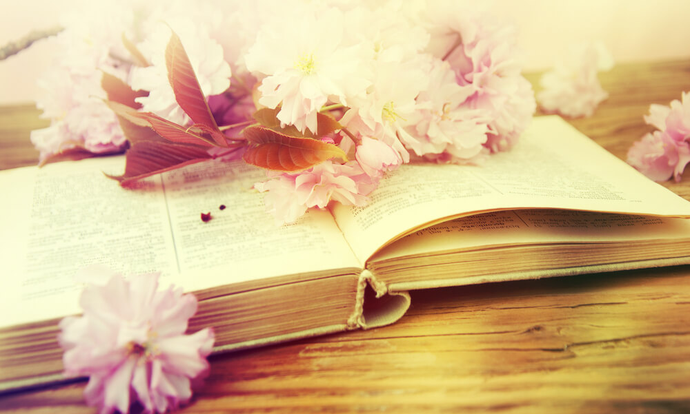 Open vintage book with blossom branch of cherry-tree on wooden table.