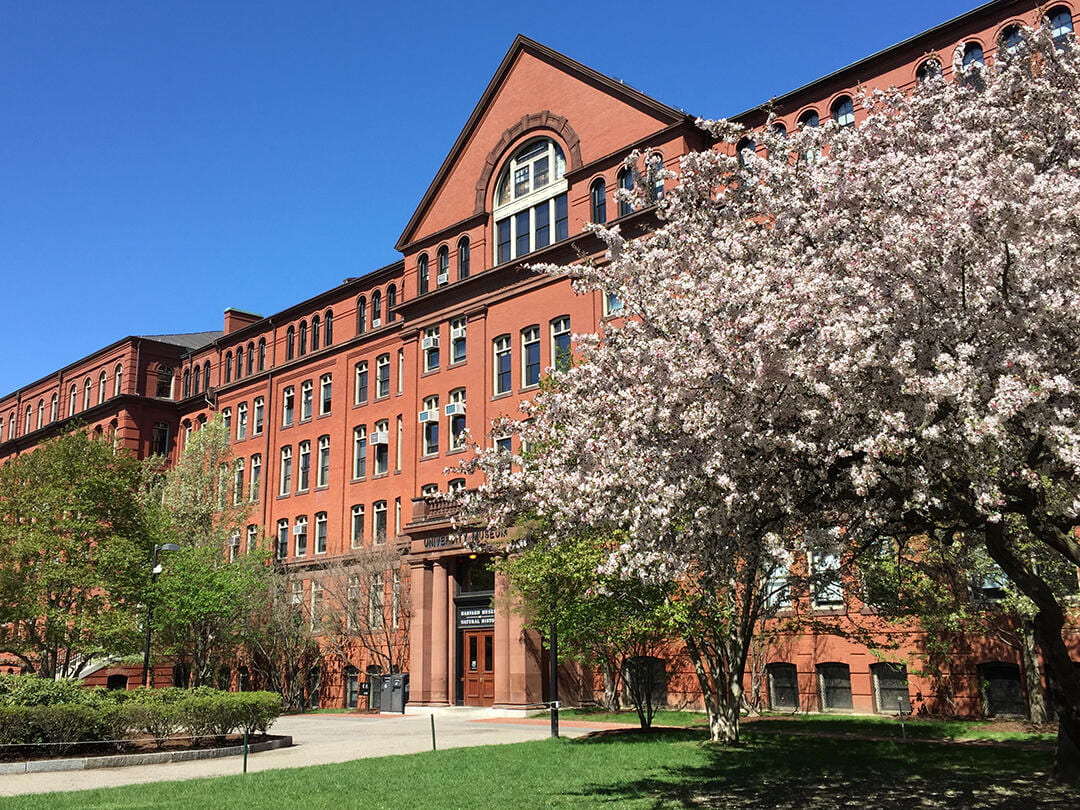 Facade of Harvard Museum of Natural History