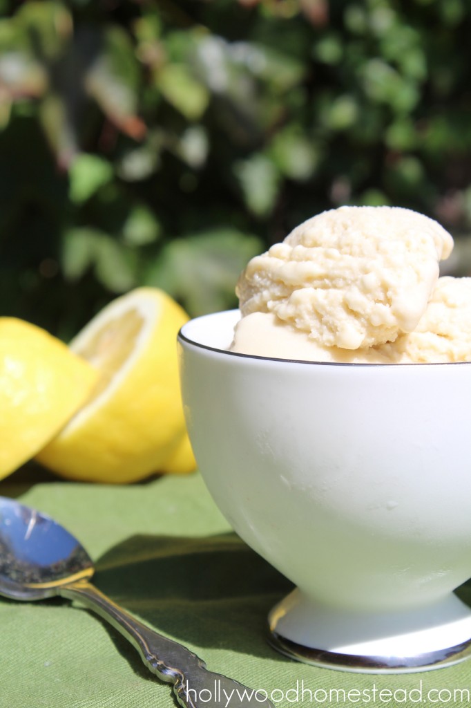 Lemon Ice Cream 2