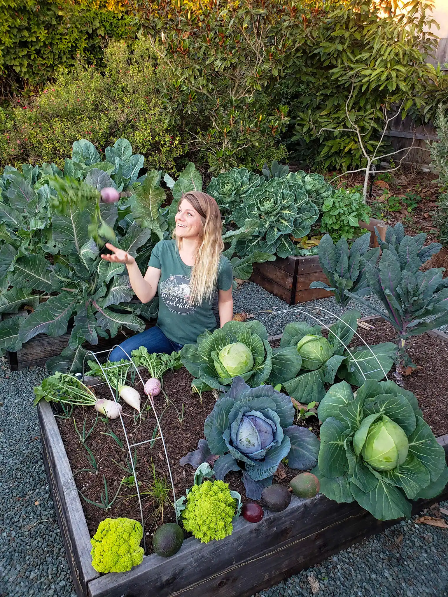 DeannaCat is kneeling next to her raised garden beds in the front yard, laughing and tossing a big purple radish in her hand. The garden beds surrounding her are full of tender winter vegetables, kale, cabbage, cauliflower, bok choy, asian greens, radishes, and swiss chard to only name a few. Directly behind here is a wall of flowering perennial bushes that have pink and purple flowers, a wall of passion fruit vines is just beyond that and there are various small trees scattered about the area. This is the start of a fall garden. 