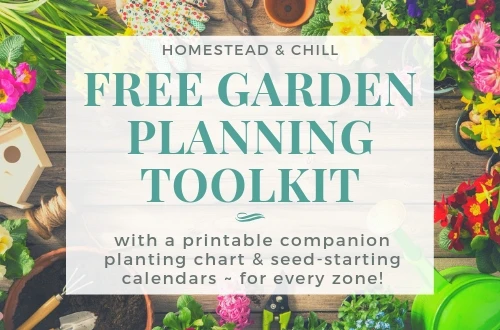 A banner that says "Free garden planning toolkit" with a border of flowers and garden tools around the text