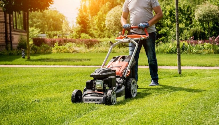 Gardener mowing the lawn. Landscape design. Gardening