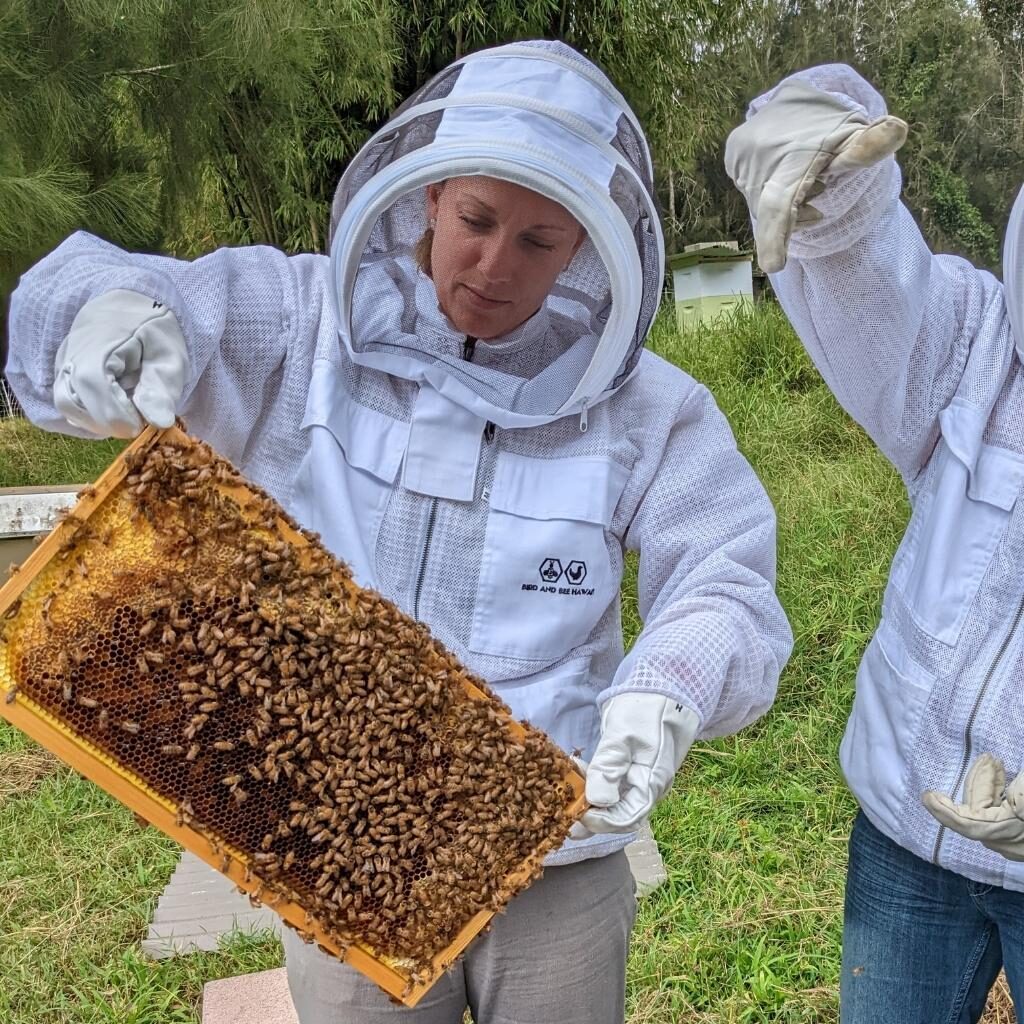 woman holding bee frame with instruction