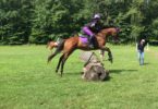 horse rider jump position