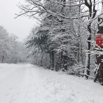 Snowy Road in Horseshoe Valley with Horseshoe Sign reading "3km Horseshoe"