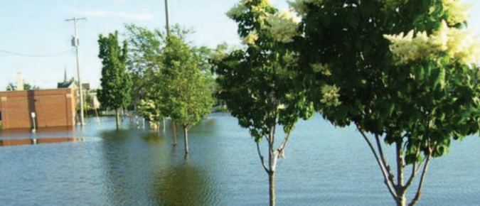 Effects of Flooding on Woody Landscape Plants