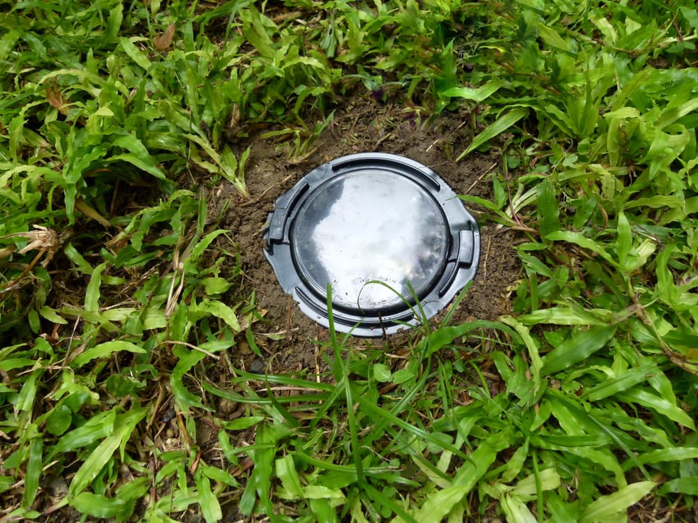 a bait station in a garden