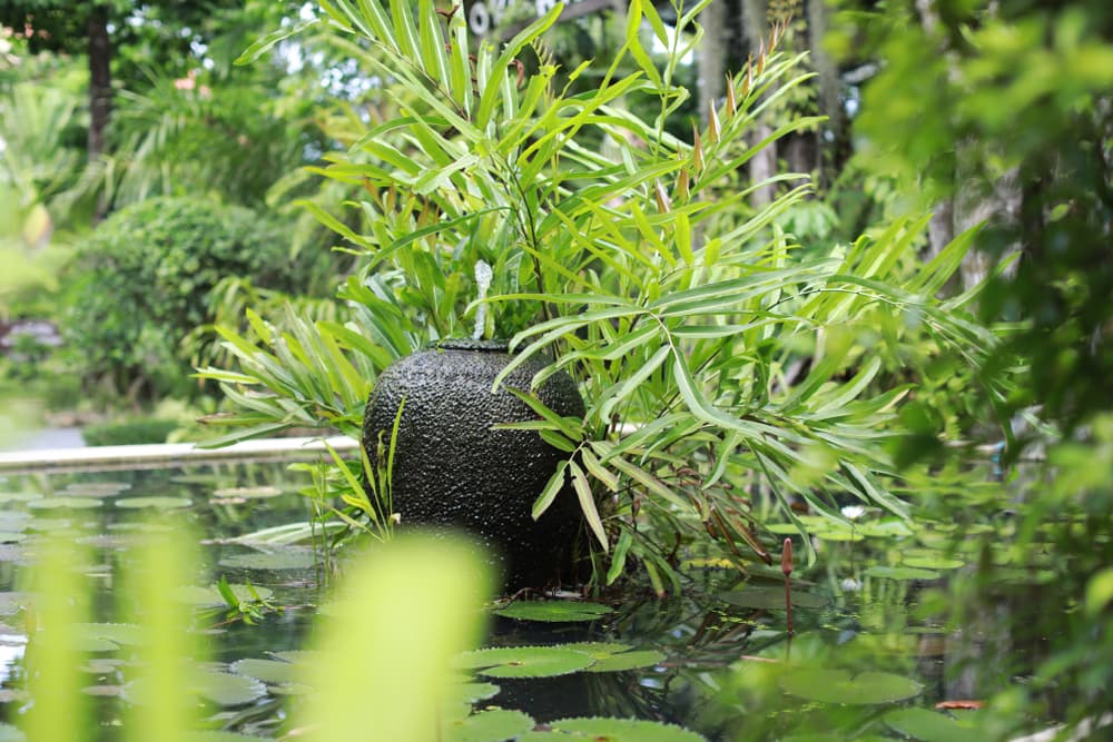 a tropical water feature using a ceramic bowl