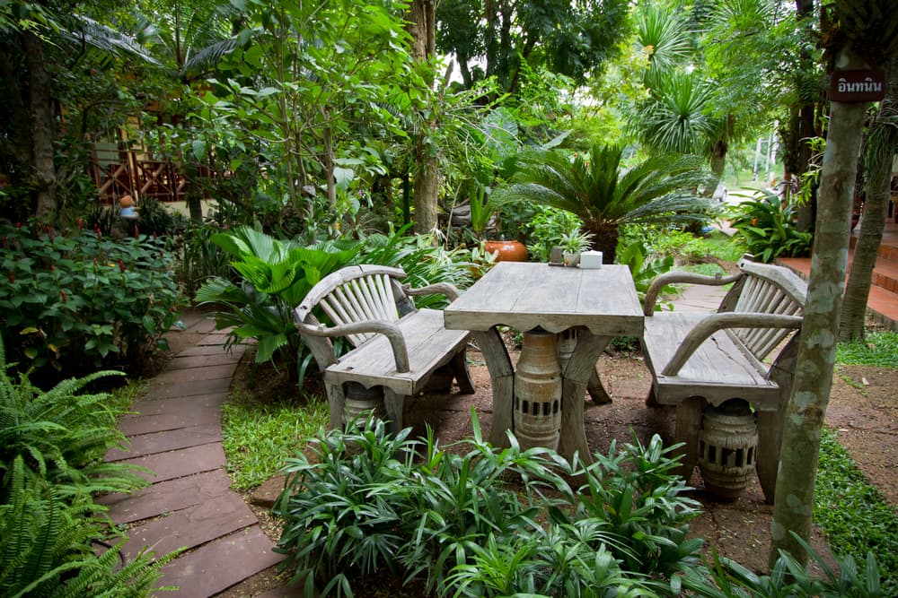 seating in a dense canopy of palms and ferns