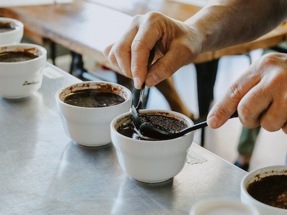 coffee cupping