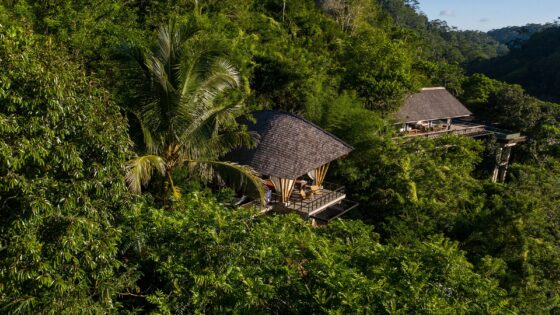 Buahan Banyan Tree Bali view from the treetops