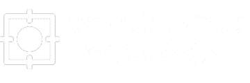 HOUSEGALLERY LOGO