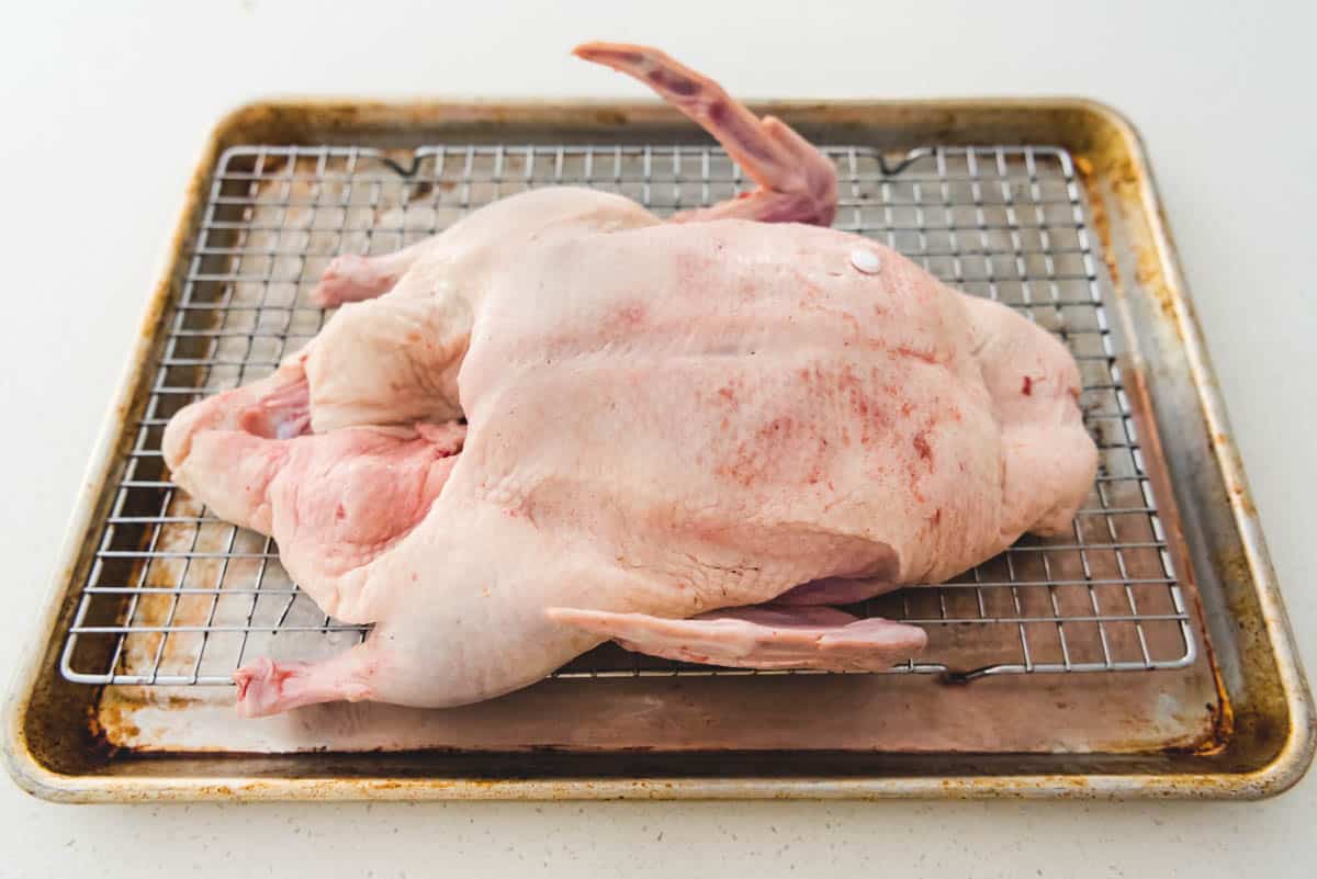 An image of a whole duck on a wire rack after being patted dry.