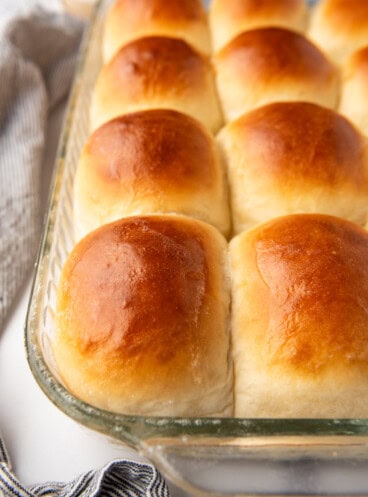 A close up image of buttery dinner rolls in rows.