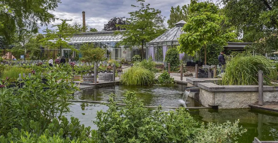 garden center with lake