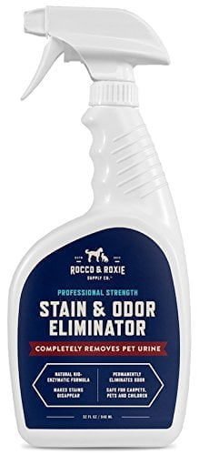 Best Odor Eliminator Review