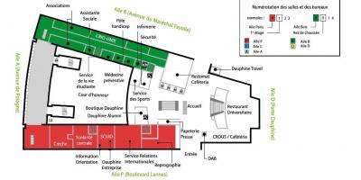 Kat jeyografik nan Univesity Dauphine - etaj anba tè a