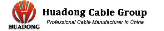 Huadong SWA Cable