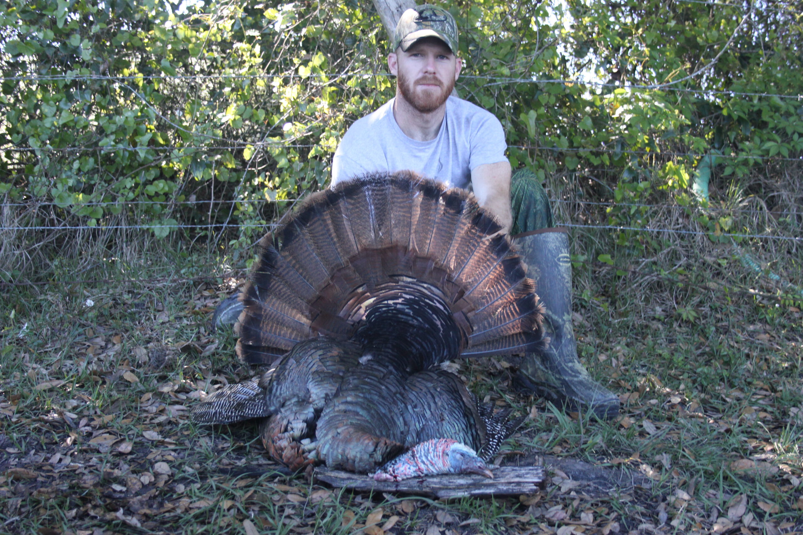 Osceola Turkey Hunt | Double C Ranch