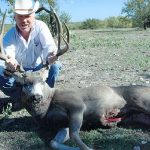 Mule Deer Hunting Texas