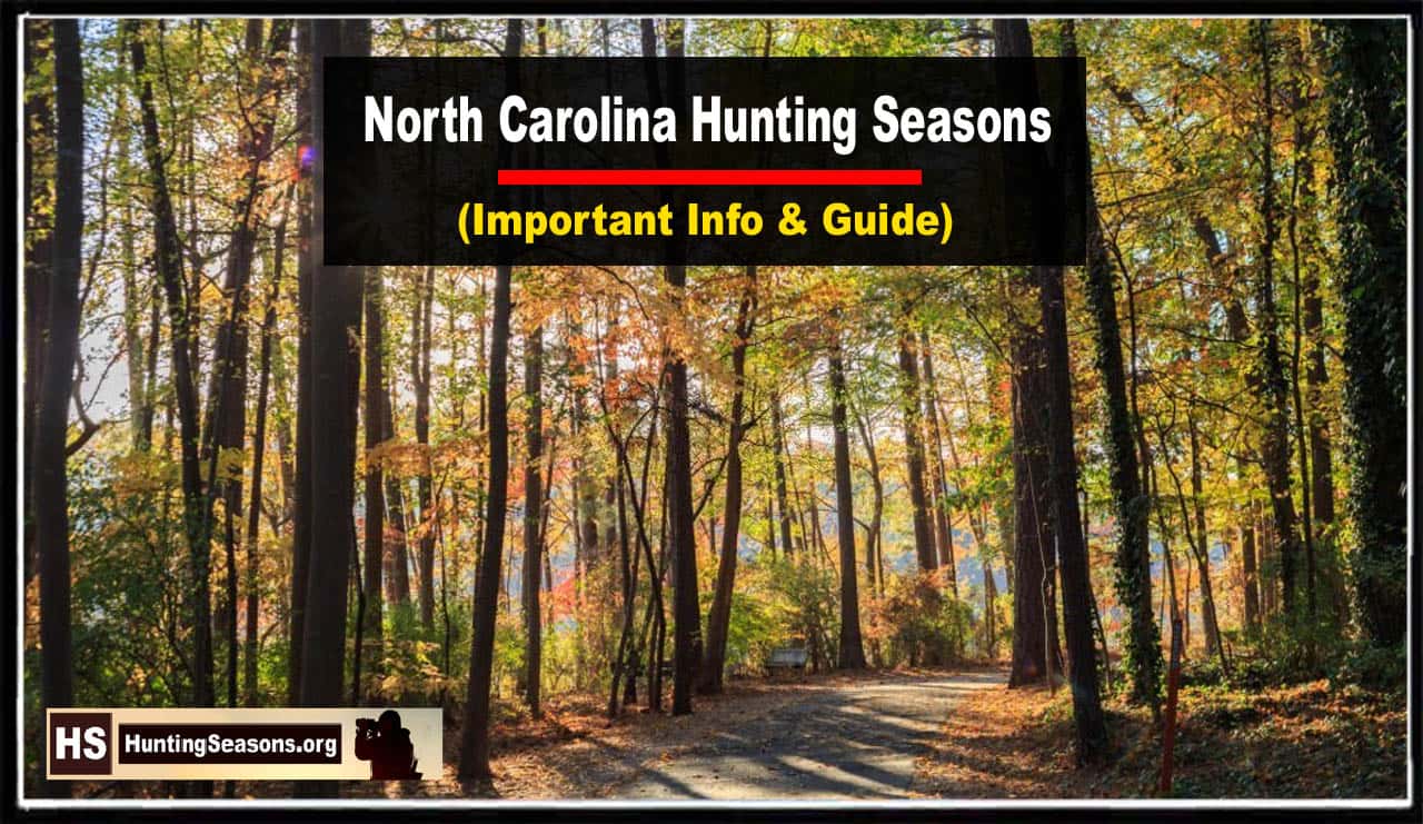 Nc Deer Season 2024 24 Schedule Tabbi Faustina