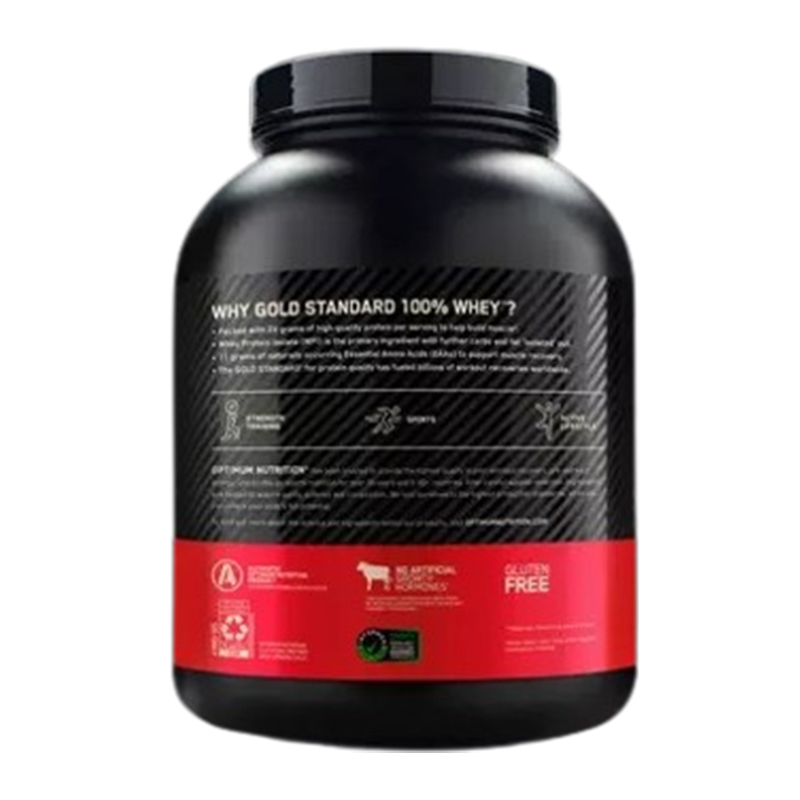 Optimum Nutrition 100% Gold Standard Whey 5 lbs - Double Rich Chocolate Best Price in Abu